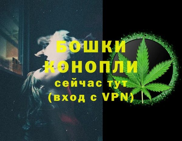 ECSTASY Белокуриха